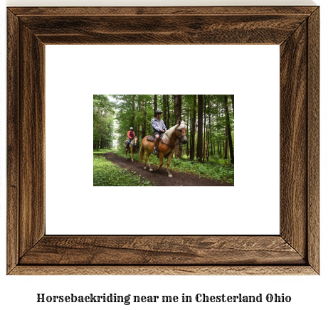 horseback riding near me in Chesterland, Ohio